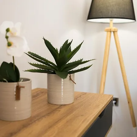 Appartement Al Santo Zakynthos